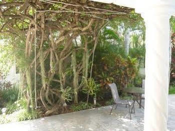 Baldwin'S Guest House Cozumel Extérieur photo